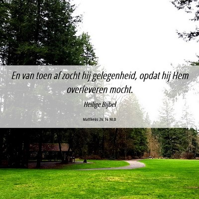 Picture 06 - Mattheüs 26:16 NLD - En van toen af zocht hij gelegenheid, opdat hij - Bible Verse Picture