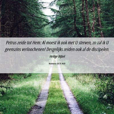Picture 06 - Mattheüs 26:35 NLD - Petrus zeide tot Hem: Al moest ik ook met U - Bible Verse Picture