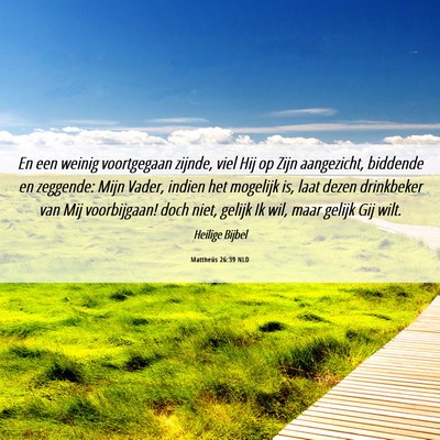 Picture 06 - Mattheüs 26:39 NLD - En een weinig voortgegaan zijnde, viel Hij op - Bible Verse Picture