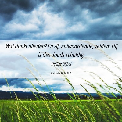 Picture 06 - Mattheüs 26:66 NLD - Wat dunkt ulieden? En zij, antwoordende, zeiden: - Bible Verse Picture