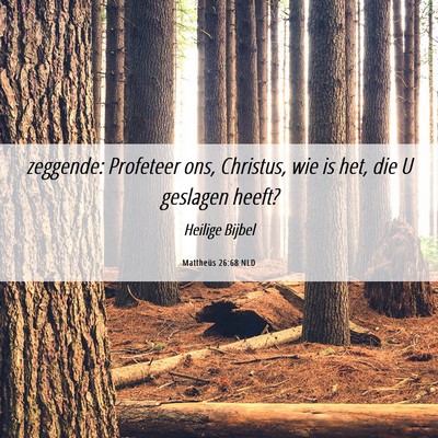 Picture 06 - Mattheüs 26:68 NLD - zeggende: Profeteer ons, Christus, wie is het, - Bible Verse Picture