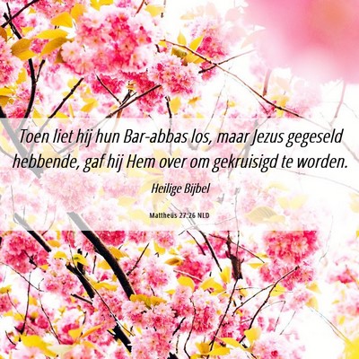 Picture 06 - Mattheüs 27:26 NLD - Toen liet hij hun Bar-abbas los, maar Jezus - Bible Verse Picture