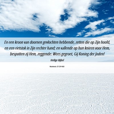 Picture 06 - Mattheüs 27:29 NLD - En een kroon van doornen gevlochten hebbende, - Bible Verse Picture