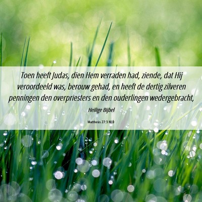 Picture 06 - Mattheüs 27:3 NLD - Toen heeft Judas, dien Hem verraden had, ziende, - Bible Verse Picture