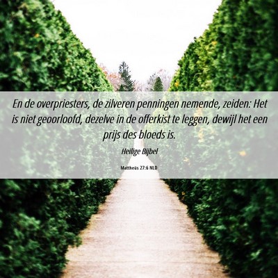 Picture 06 - Mattheüs 27:6 NLD - En de overpriesters, de zilveren penningen - Bible Verse Picture