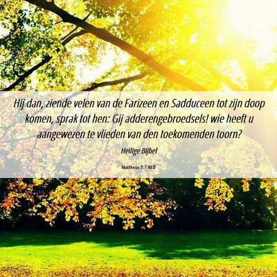 Picture 06 - Mattheüs 3:7 NLD - Hij dan, ziende velen van de Farizeen en - Bible Verse Picture