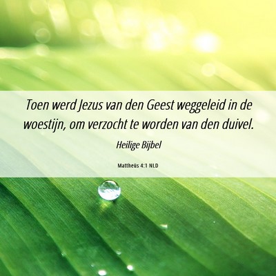 Picture 06 - Mattheüs 4:1 NLD - Toen werd Jezus van den Geest weggeleid in de - Bible Verse Picture