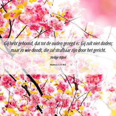 Picture 06 - Mattheüs 5:21 NLD - Gij hebt gehoord, dat tot de ouden gezegd is: Gij - Bible Verse Picture