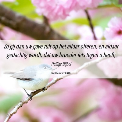 Picture 06 - Mattheüs 5:23 NLD - Zo gij dan uw gave zult op het altaar offeren, en - Bible Verse Picture