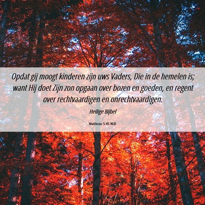 Picture 06 - Mattheüs 5:45 NLD - Opdat gij moogt kinderen zijn uws Vaders, Die in - Bible Verse Picture