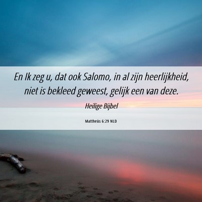 Picture 06 - Mattheüs 6:29 NLD - En Ik zeg u, dat ook Salomo, in al zijn - Bible Verse Picture