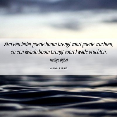 Picture 06 - Mattheüs 7:17 NLD - Alzo een ieder goede boom brengt voort goede - Bible Verse Picture