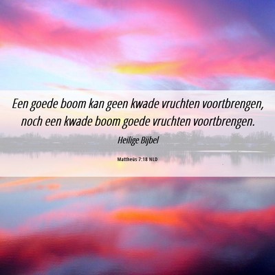 Picture 06 - Mattheüs 7:18 NLD - Een goede boom kan geen kwade vruchten - Bible Verse Picture