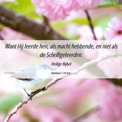 Picture 06 - Mattheüs 7:29 NLD - Want Hij leerde hen, als macht hebbende, en niet - Bible Verse Picture
