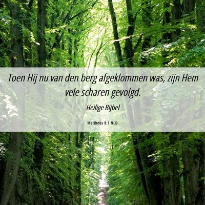 Picture 06 - Mattheüs 8:1 NLD - Toen Hij nu van den berg afgeklommen was, zijn - Bible Verse Picture