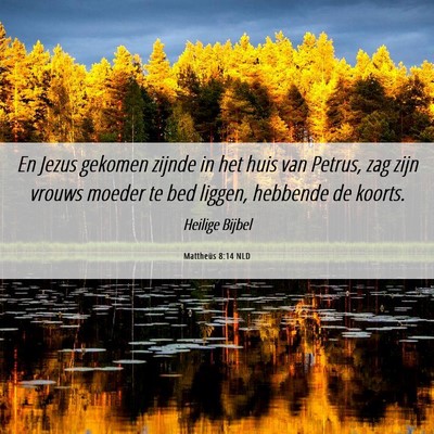 Picture 06 - Mattheüs 8:14 NLD - En Jezus gekomen zijnde in het huis van Petrus, - Bible Verse Picture