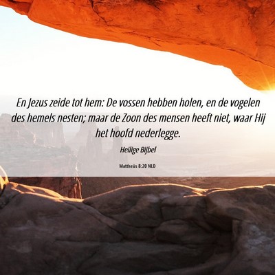Picture 06 - Mattheüs 8:20 NLD - En Jezus zeide tot hem: De vossen hebben holen, - Bible Verse Picture