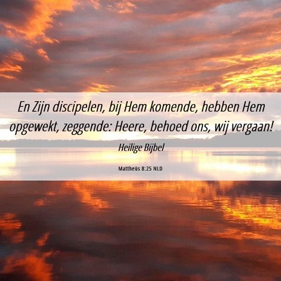 Picture 06 - Mattheüs 8:25 NLD - En Zijn discipelen, bij Hem komende, hebben Hem - Bible Verse Picture