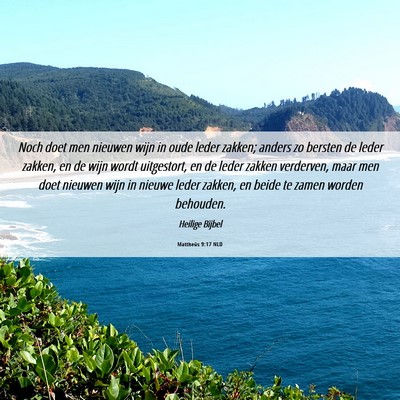 Picture 06 - Mattheüs 9:17 NLD - Noch doet men nieuwen wijn in oude leder zakken; - Bible Verse Picture