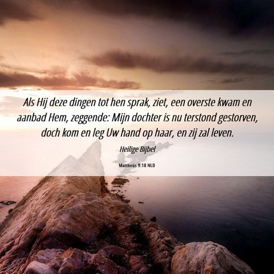 Picture 06 - Mattheüs 9:18 NLD - Als Hij deze dingen tot hen sprak, ziet, een - Bible Verse Picture