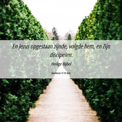 Picture 06 - Mattheüs 9:19 NLD - En Jezus opgestaan zijnde, volgde hem, en Zijn - Bible Verse Picture
