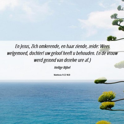 Picture 06 - Mattheüs 9:22 NLD - En Jezus, Zich omkerende, en haar ziende, zeide: - Bible Verse Picture