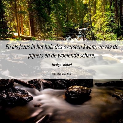 Picture 06 - Mattheüs 9:23 NLD - En als Jezus in het huis des oversten kwam, en - Bible Verse Picture