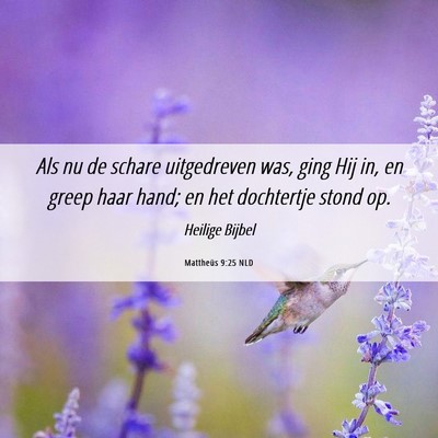 Picture 06 - Mattheüs 9:25 NLD - Als nu de schare uitgedreven was, ging Hij in, en - Bible Verse Picture