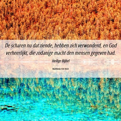 Picture 06 - Mattheüs 9:8 NLD - De scharen nu dat ziende, hebben zich verwonderd, - Bible Verse Picture