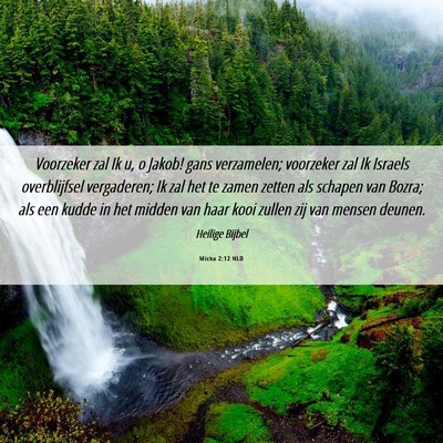 Picture 06 - Micha 2:12 NLD - Voorzeker zal Ik u, o Jakob! gans verzamelen; - Bible Verse Picture