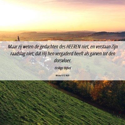 Picture 06 - Micha 4:12 NLD - Maar zij weten de gedachten des HEEREN niet, en - Bible Verse Picture