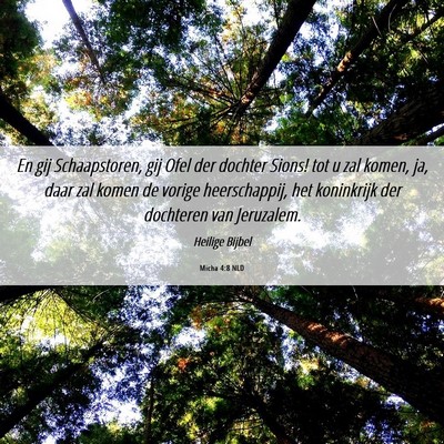 Picture 06 - Micha 4:8 NLD - En gij Schaapstoren, gij Ofel der dochter Sions! - Bible Verse Picture
