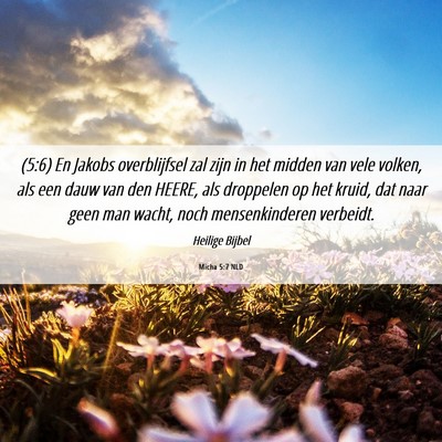 Picture 06 - Micha 5:7 NLD - (5:6) En Jakobs overblijfsel zal zijn in het - Bible Verse Picture