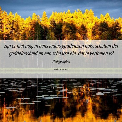 Picture 06 - Micha 6:10 NLD - Zijn er niet nog, in eens ieders goddelozen huis, - Bible Verse Picture