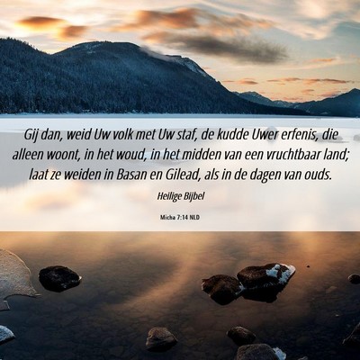 Picture 06 - Micha 7:14 NLD - Gij dan, weid Uw volk met Uw staf, de kudde Uwer - Bible Verse Picture