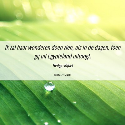 Picture 06 - Micha 7:15 NLD - Ik zal haar wonderen doen zien, als in de dagen, - Bible Verse Picture