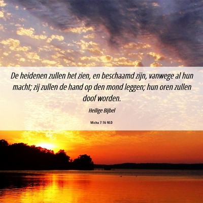 Picture 06 - Micha 7:16 NLD - De heidenen zullen het zien, en beschaamd zijn, - Bible Verse Picture