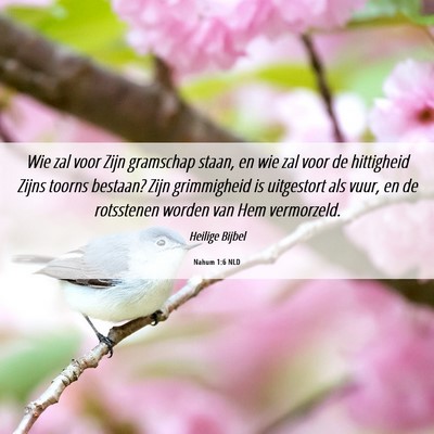Picture 06 - Nahum 1:6 NLD - Wie zal voor Zijn gramschap staan, en wie zal - Bible Verse Picture