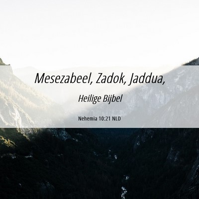 Picture 06 - Nehemia 10:21 NLD - Mesezabeel, Zadok, - Bible Verse Picture