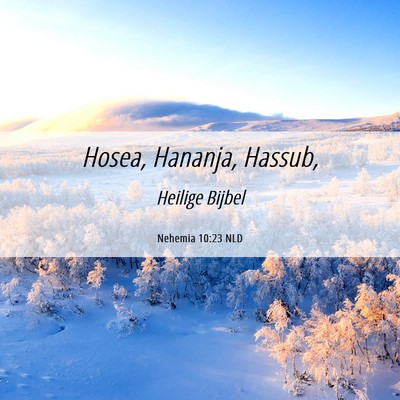 Picture 06 - Nehemia 10:23 NLD - Hosea, Hananja, - Bible Verse Picture