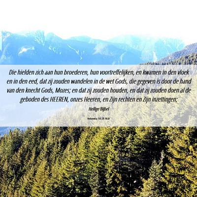 Picture 06 - Nehemia 10:29 NLD - Die hielden zich aan hun broederen, hun - Bible Verse Picture