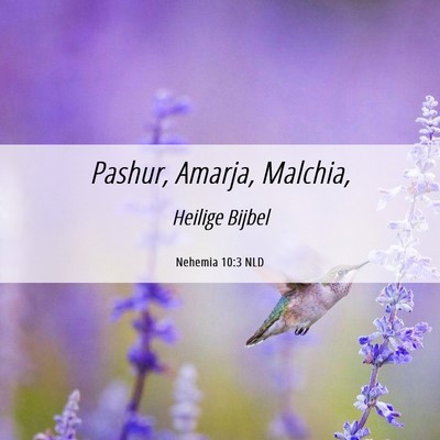 Picture 06 - Nehemia 10:3 NLD - Pashur, Amarja, - Bible Verse Picture