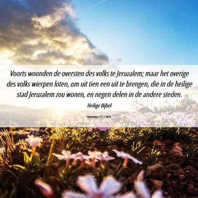 Picture 06 - Nehemia 11:1 NLD - Voorts woonden de oversten des volks te - Bible Verse Picture