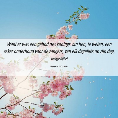 Picture 06 - Nehemia 11:23 NLD - Want er was een gebod des konings van hen, te - Bible Verse Picture