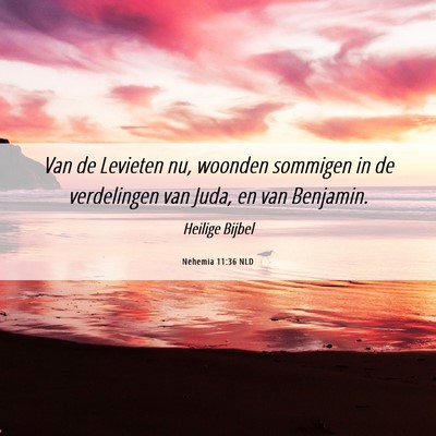 Picture 06 - Nehemia 11:36 NLD - Van de Levieten nu, woonden sommigen in de - Bible Verse Picture