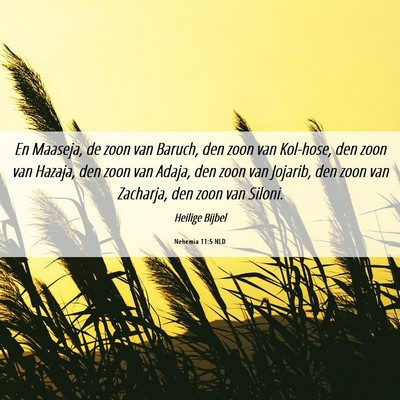 Picture 06 - Nehemia 11:5 NLD - En Maaseja, de zoon van Baruch, den zoon van - Bible Verse Picture