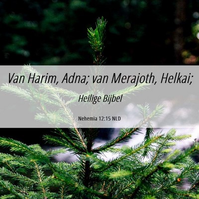 Picture 06 - Nehemia 12:15 NLD - Van Harim, Adna; van Merajoth, - Bible Verse Picture