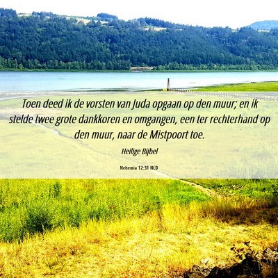 Picture 06 - Nehemia 12:31 NLD - Toen deed ik de vorsten van Juda opgaan op den - Bible Verse Picture