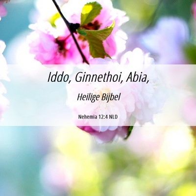 Picture 06 - Nehemia 12:4 NLD - Iddo, Ginnethoi, - Bible Verse Picture