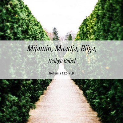 Picture 06 - Nehemia 12:5 NLD - Mijamin, Maadja, - Bible Verse Picture